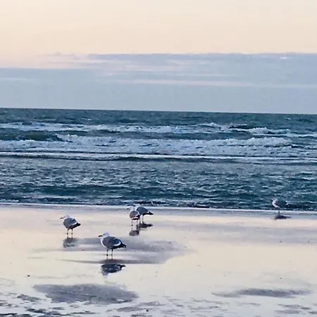 App Zouavenplein 0403 Appartamento Koksijde