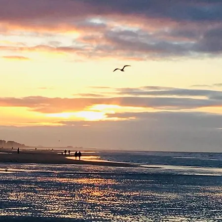 App Zouavenplein 0403 Appartamento