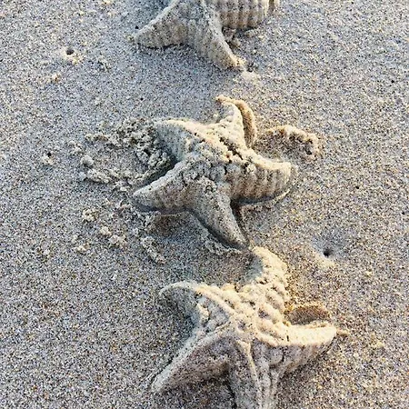 App Zouavenplein 0403 Lejlighed