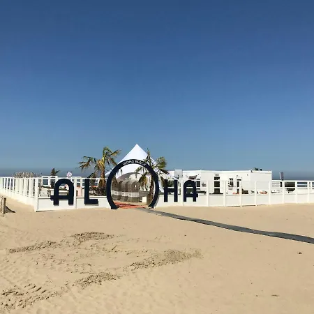 App Zouavenplein 0403 Коксейде