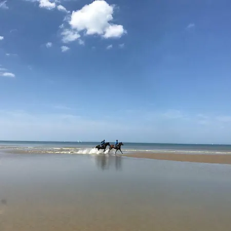 App Zouavenplein 0403 شقة *