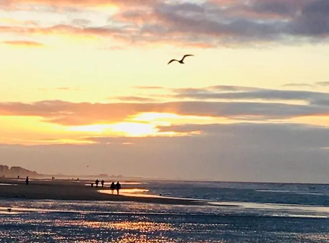 App Zouavenplein 0403 公寓