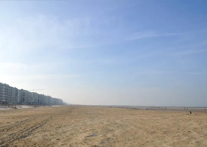 App Zouavenplein 0403 * 科克赛德