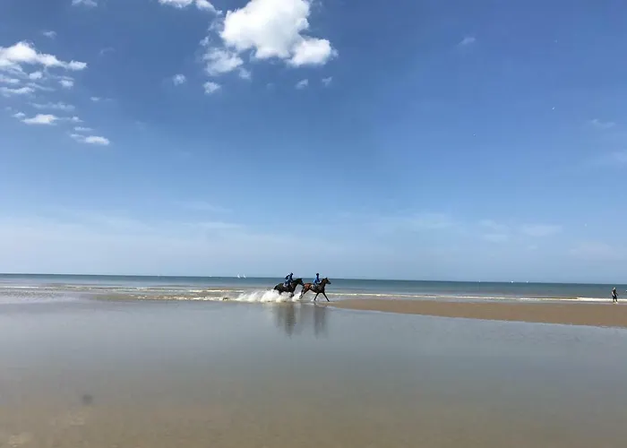 App Zouavenplein 0403 公寓 *